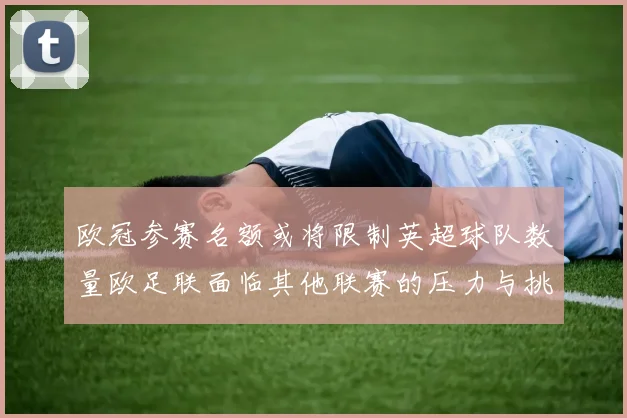 欧冠参赛名额或将限制英超球队数量欧足联面临其他联赛的压力与挑战