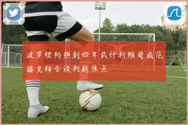 波罗续约热刺四年武什科维奇成范赫克转会谈判新焦点